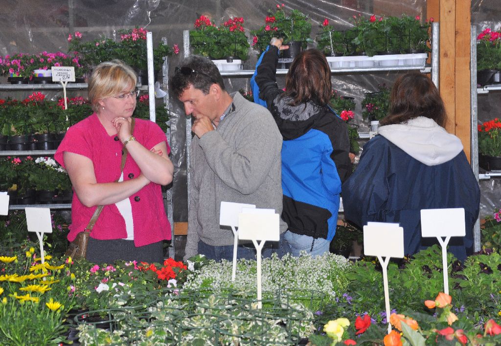Blumenerdefest 2012