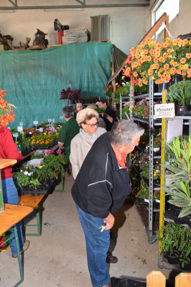 Blumenerdefest 2015