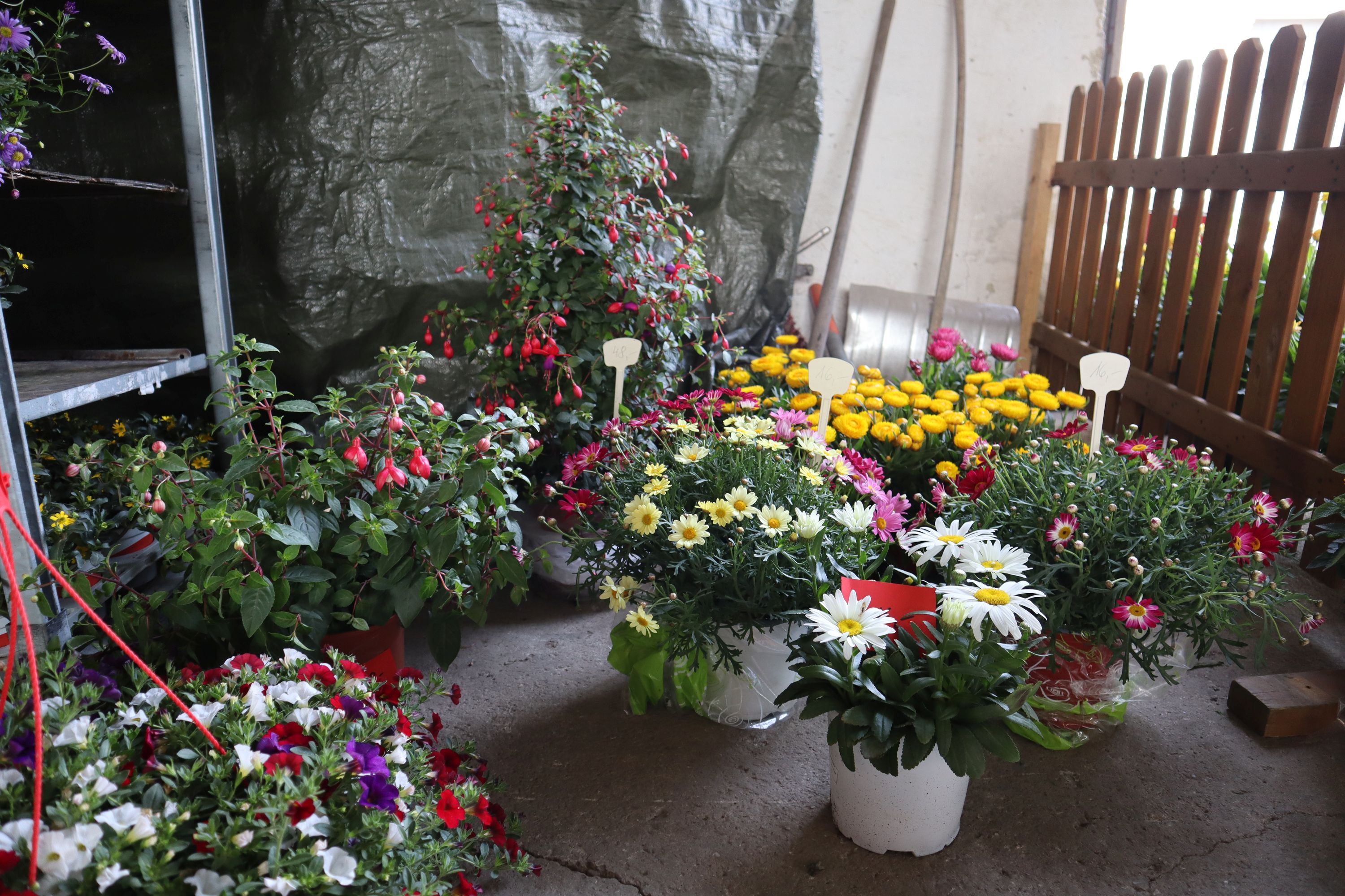 Blumenerdefest 2024