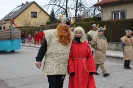 Faschingsumzug 2012_14